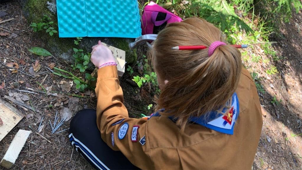 Syksyn 2024 aloitus - Lue lisää